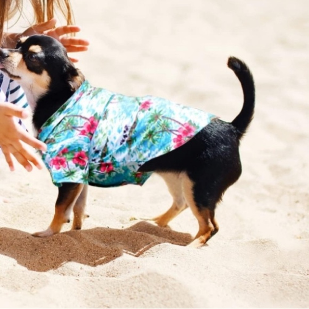 Hawaiian Style Floral Pet Shirt